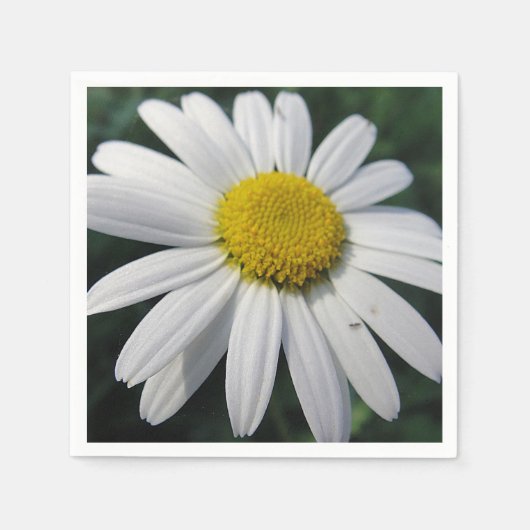 Big White Daisy Napkins Servet (Voorkant)