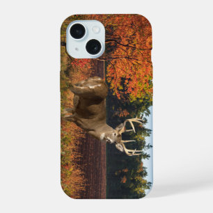 Big Whitetail Buck slaat een pose iPhone 15 Hoesje