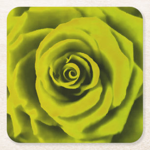Big Yellow Rose Vierkante Kartonnen Onderzetter