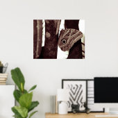 bigbutterflyeye poster (Thuiskantoor)
