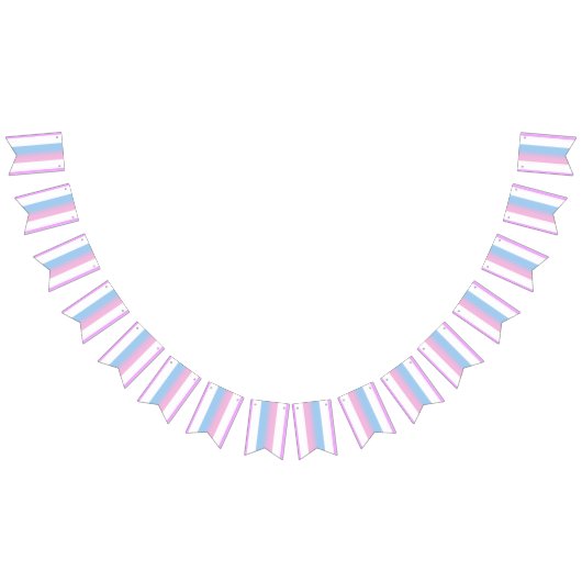 Bigender Fide Drapeau Bannière de Bunting Parti LG (Tout)