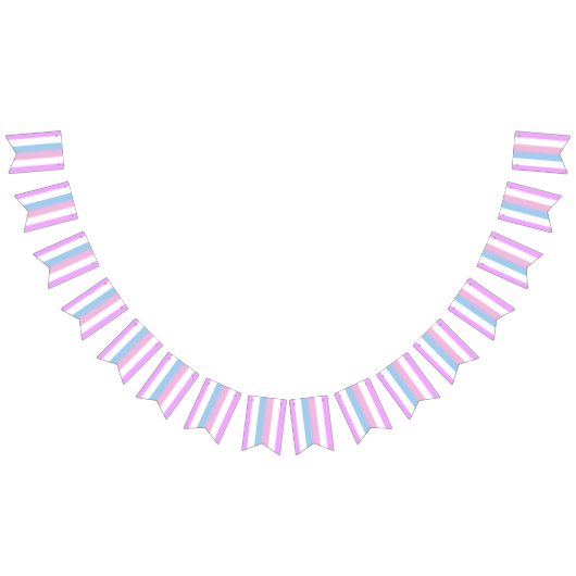 Bigender Pride Flag Vlaggetjes (Alle)