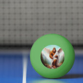 Bigfoot Angel Pingpongballen (Net)