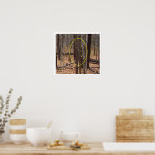 Bigfoot Behind Trees Poster (Keuken)