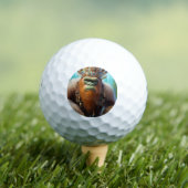Bigfoot Eco Warrior Golfballen (Insitu Shirt)