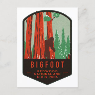 Bigfoot Redwood National Park Briefkaart