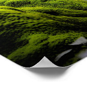 Bigfoots, The Green Machine - 18 x 24 Poster (Hoek)