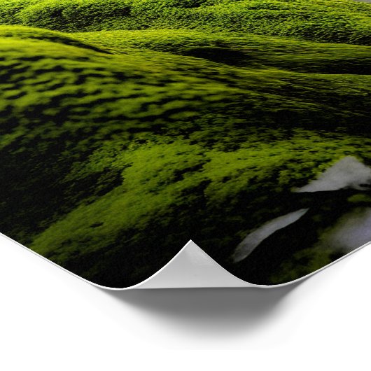 Bigfoots, The Green Machine - 18 x 24 Poster (Hoek)