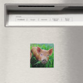 biggen kauwen gras magneet (Insitu (Vaatwasser))