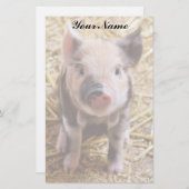 biggetje briefpapier (Voorkant / Achterkant)