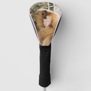 Biggetje Golfheadcover