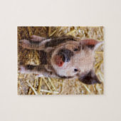 biggetje legpuzzel (Horizontaal)