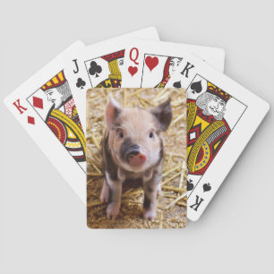 biggetje pokerkaarten