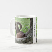 Bighorn Mug (Devant gauche)