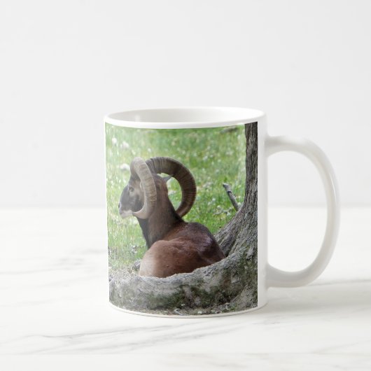 Bighorn Mug (Droite)