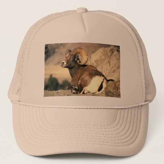 Bighorn Ram Trucker Pet (Voorkant)