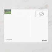 bighorn schaap briefkaart (Achterkant)