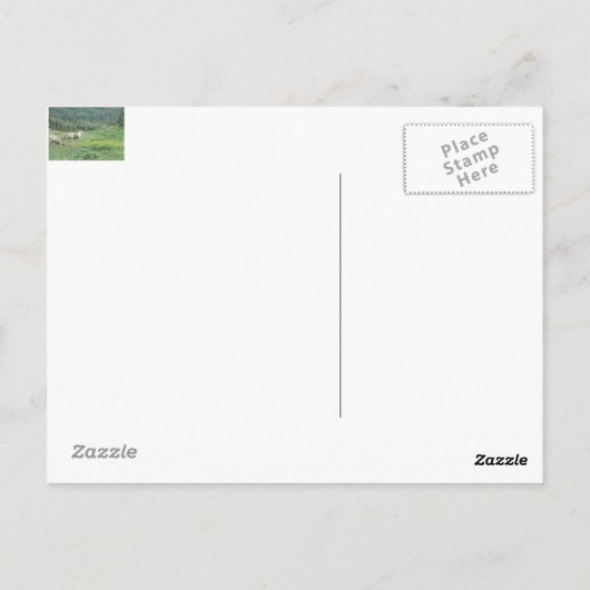 bighorn schaap briefkaart (Achterkant)