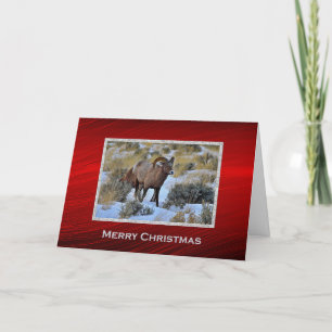 Bighorn Schaap Sneeuw Foto Kerstmis Feestdagen Kaart