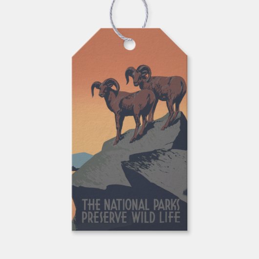 Bighorn Sheep American West Wildlife Cadeaulabel (Voorkant)