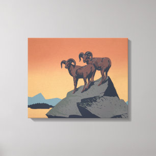 Bighorn Sheep American West Wildlife Canvas Afdruk