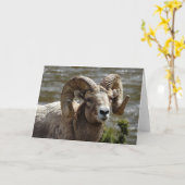 Bighorn Sheep Carte pour notes (Fleur jaune)