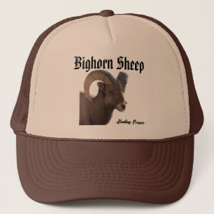 Bighorn Sheep Casquette