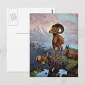 Bighorn Sheep Illustratie Briefkaart (Voorkant / Achterkant)