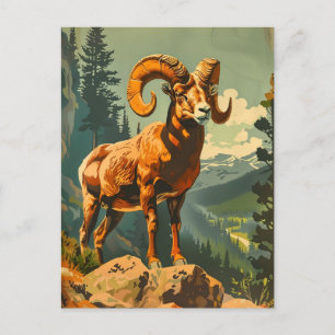 Bighorn Sheep Illustratie Briefkaart