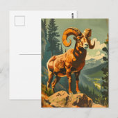  Bighorn Sheep Illustratie Briefkaart (Voorkant / Achterkant)