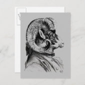 Bighorn Sheep in Suit Briefkaart (Voorkant / Achterkant)