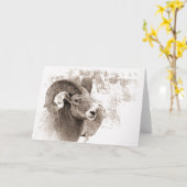 BigHorn Sheep Kaart (Gele Bloem)