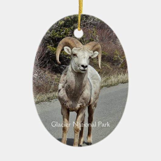 Bighorn Sheep Keramisch Ornament (Voorkant)