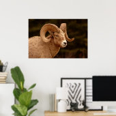 Bighorn Sheep Poster (Thuiskantoor)