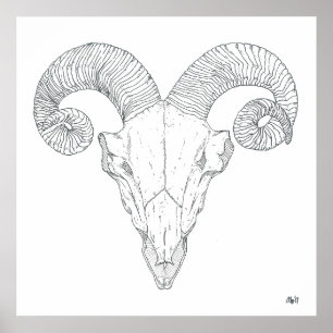 Bighorn Sheep Print (groot)
