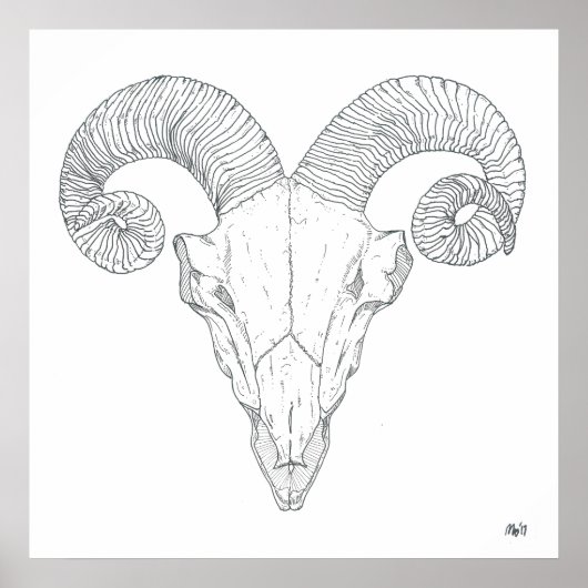 Bighorn Sheep Print (groot) (Voorkant)