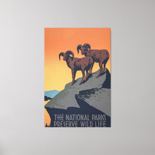 Bighorn Sheep Sunset Poster Canvas Afdruk (Voorkant)