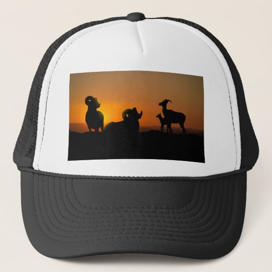 Bighorn Sheep Trucker Pet (Voorkant)