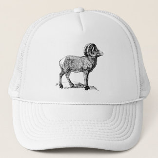 Bighorn Sheep Trucker Pet