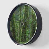 Bigleaf Maple Trees & Ferns | Staat Washington (Hoek)