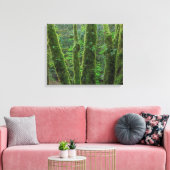 Bigleaf Maple Trees & Ferns | Staat Washington Canvas Afdruk (Insitu (Woonkamer))