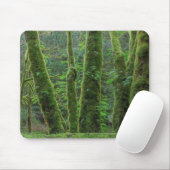 Bigleaf Maple Trees & Ferns | Staat Washington Muismat (Met muis)