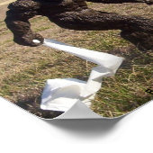 Bigvoetwaarneming Poster (Hoek)