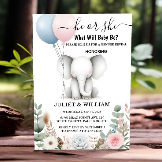 Bij Big Zoo Baby White Elephant Birth Gender Revea Kaart
