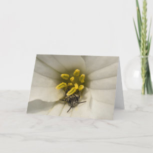 Bij binnen van een Trillium Wildflower Notecard Kaart