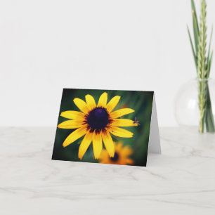 Bij Black Eyed Susan Bloem Fotografie Notitiekaartje