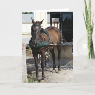 Bij de Post Hitching Kaart