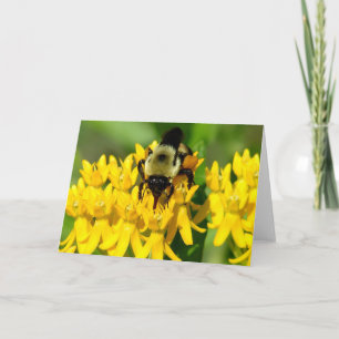 Bij die eet op vlinderonkruid wilde bloemen kaart