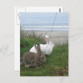 Bij het Briefkaart van de Beach (Voorkant / Achterkant)