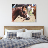 Bij het Show van de paarden Canvas Afdruk (Insitu (Slaapkamer))